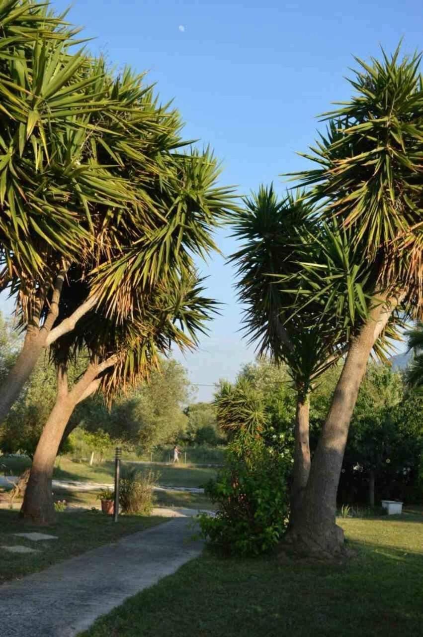 Апартаменты Sunny Garden Платария Экстерьер фото