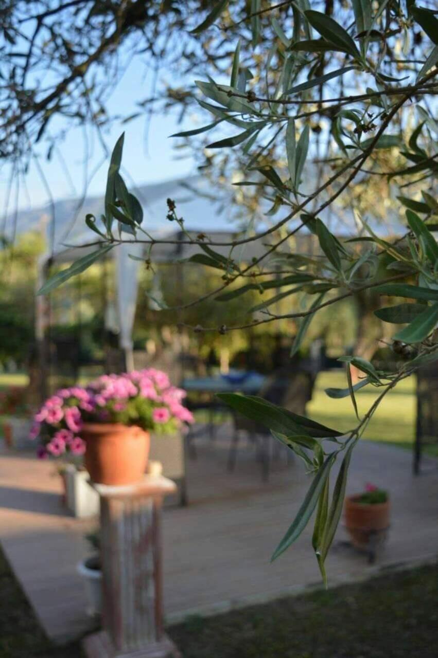 Апартаменты Sunny Garden Платария Экстерьер фото